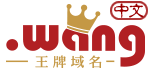 ����.wang����